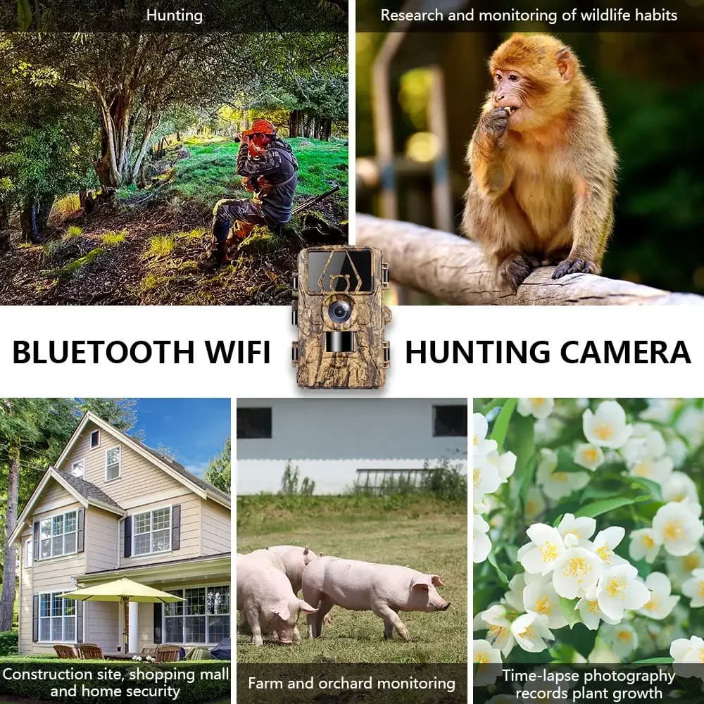 Caméra trail WiFi 8K étanche PR801W 60MP vision APP pour monitoring animal ferme et chasse