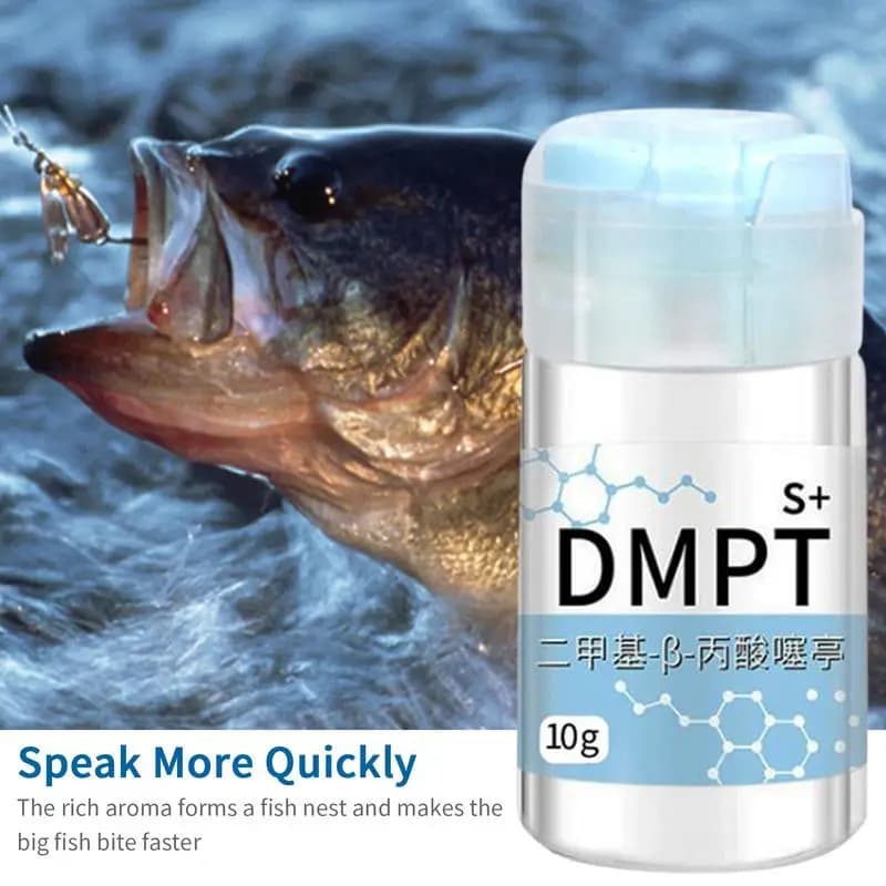 Gel attractant puissant longue durée pour appâts de pêche - Senteur naturelle soluble pour crevettes, carpes et tilapias