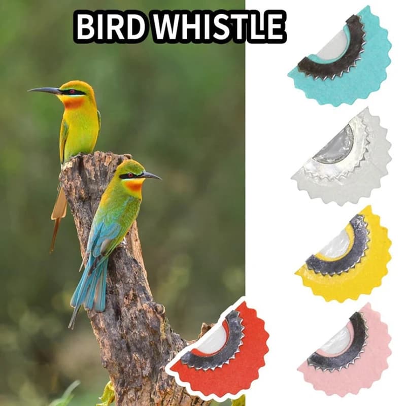 Sifflet magique appeau oiseaux pour attirer poissons et observer faune pendant pêche