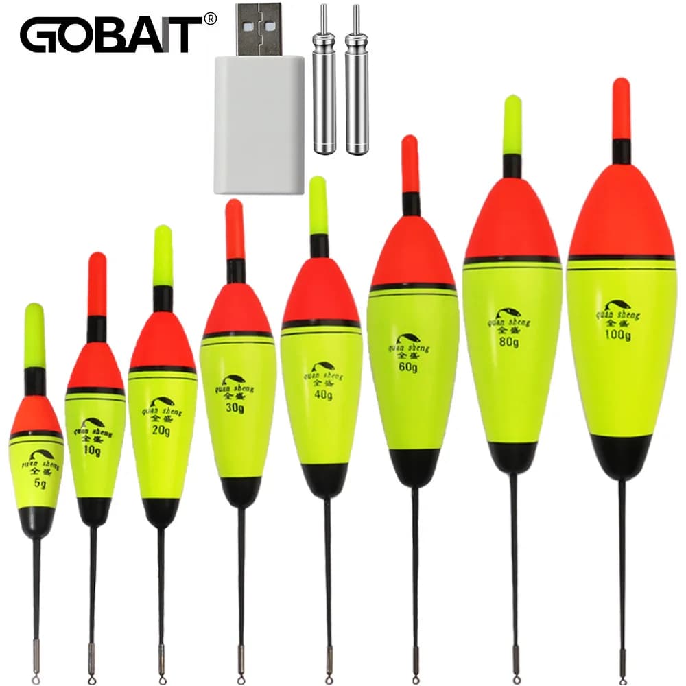 Flotteur de pêche lumineux LED rechargeable USB pour pêche de nuit et jour, vertical, 5g à