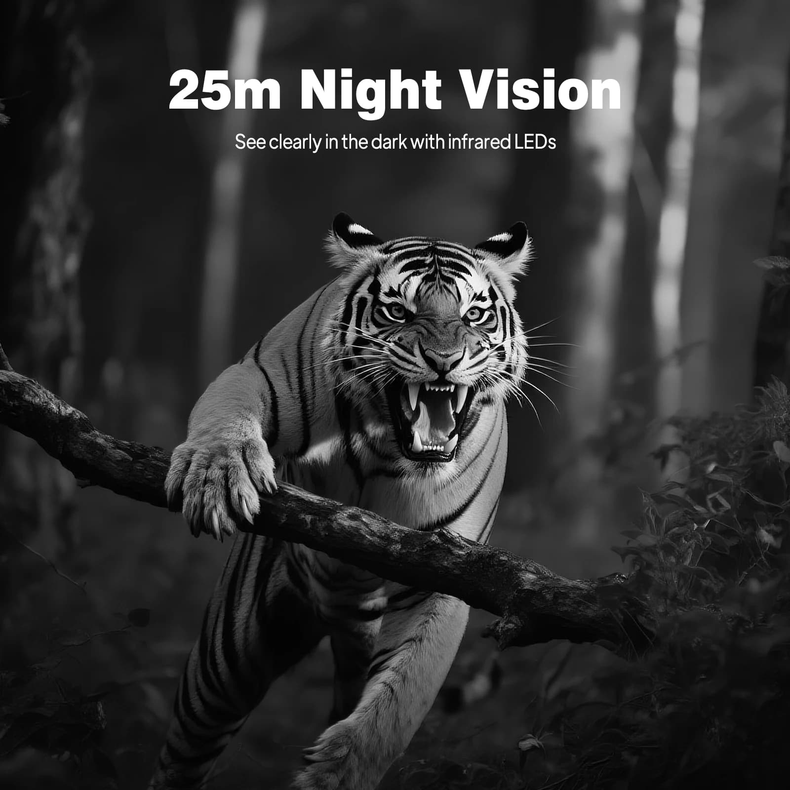 Caméra trail 4K avec déclenchement 0.8s et écran IPS 2.0'' pour reconnaissance animalière extérieure étanche