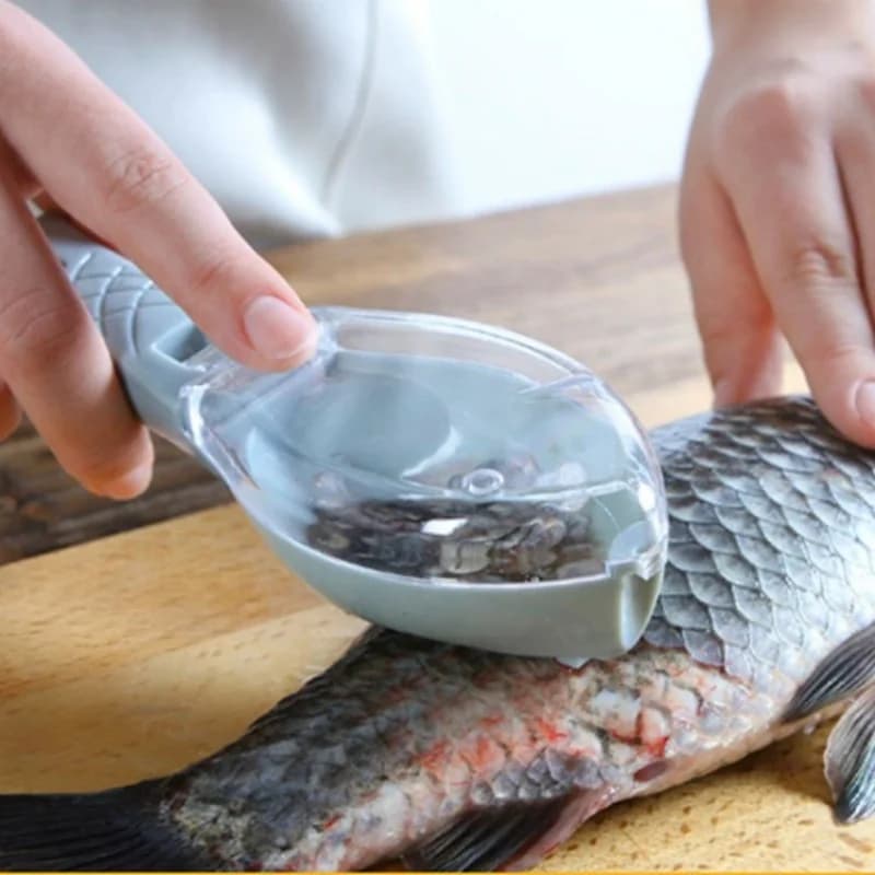 Balance ménagère cuisine grattoir écailles poisson - desquamation manuelle outils pêche