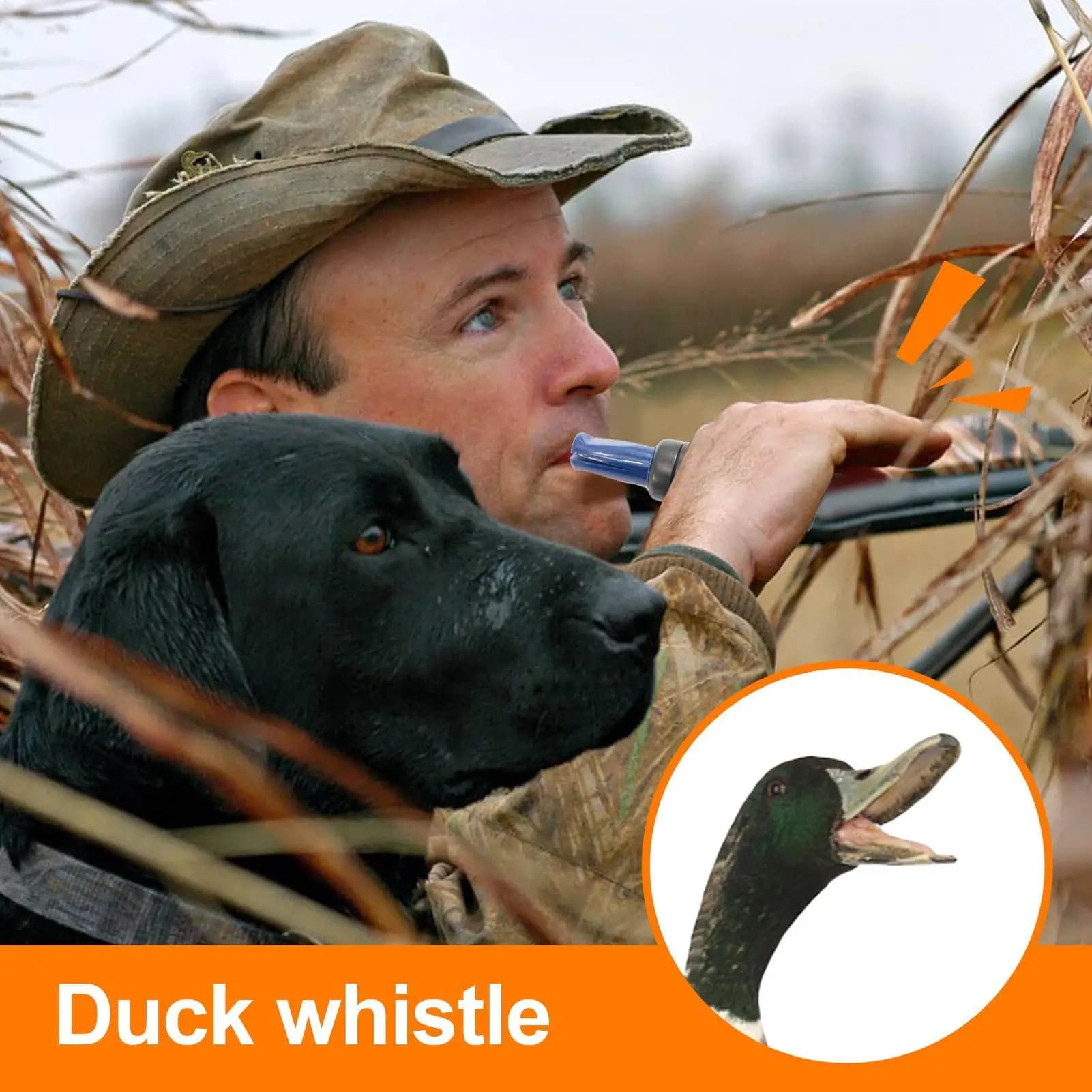 Appelant canard réaliste pour chasse - Leurre efficace avec son de mallard authentique