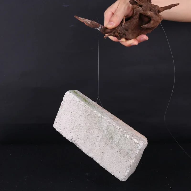 Lignes de pêche nylon multifilament super résistantes 100 à 500 mètres transparentes pour tous types de pêche