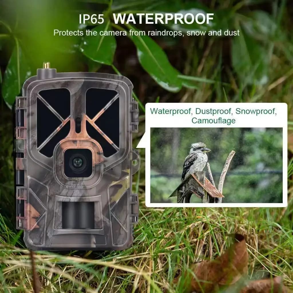 Caméra wildlife 4G 30MP 2.7K étanche IP65 avec application mobile pour contrôle total