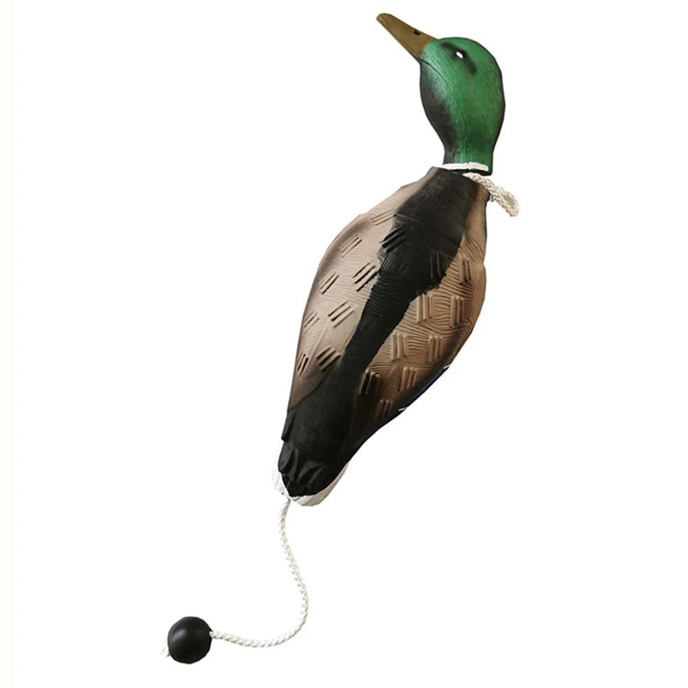 Dummy bumper canard mort pour chiens de chasse - Leurre flottant avec odeur pour entraînement au rapport