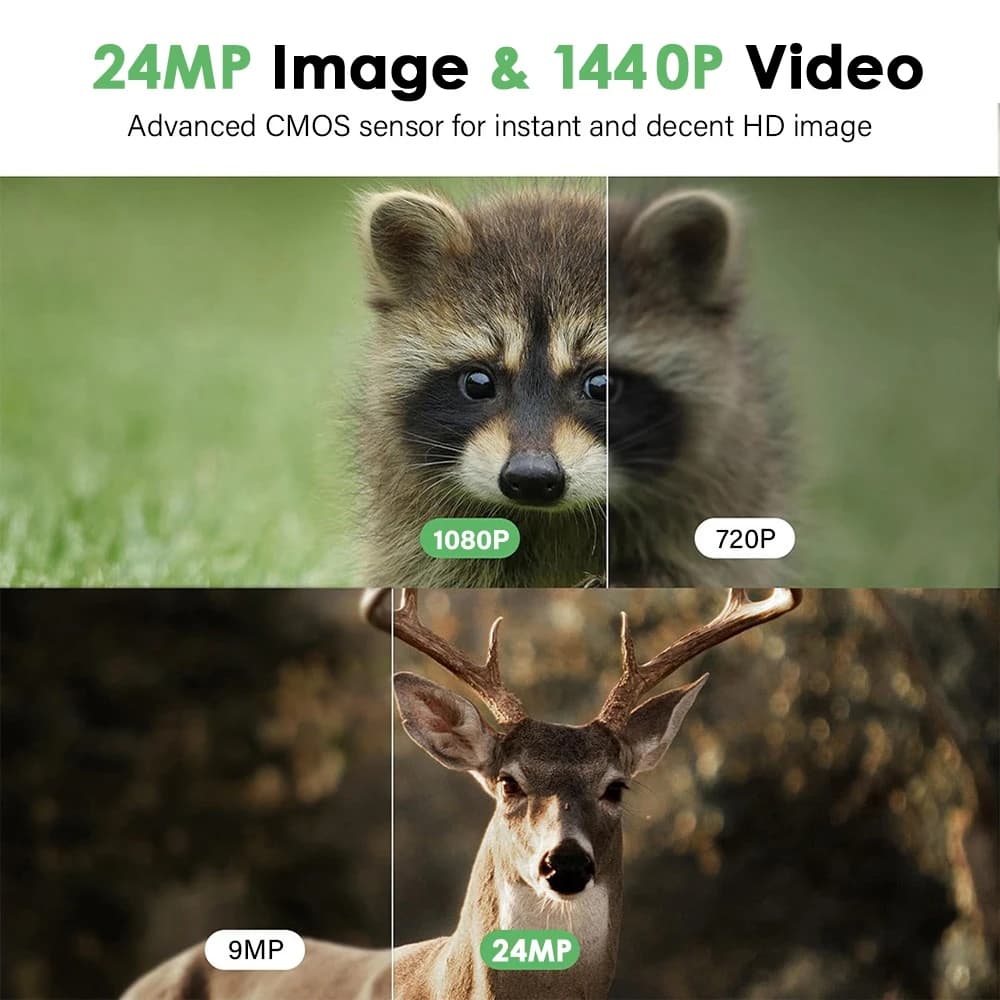 Caméra multifonction 24MP vidéo photo IP66 étanche - Observation animale chasse + carte 32GB incluse