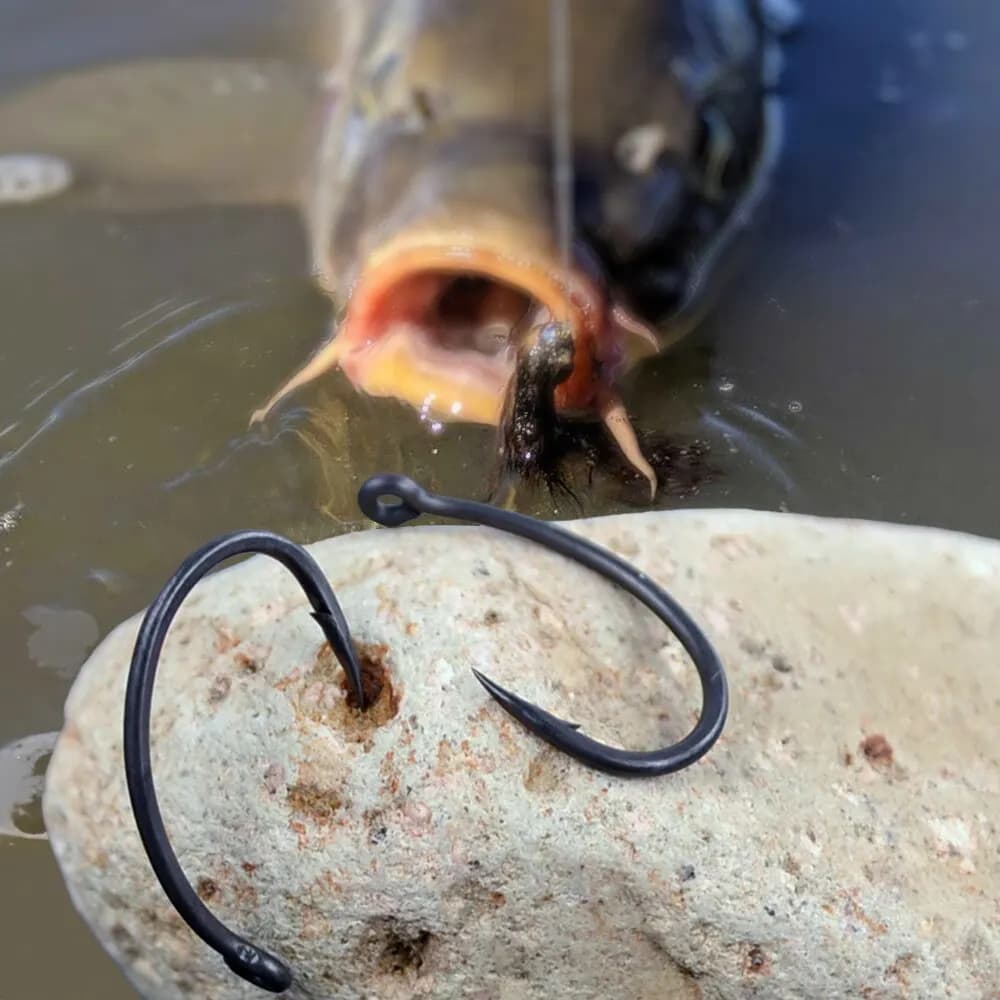 Hameçons de pêche à la carpe Hirisi 50 pièces, acier haute teneur en carbone avec revêtement