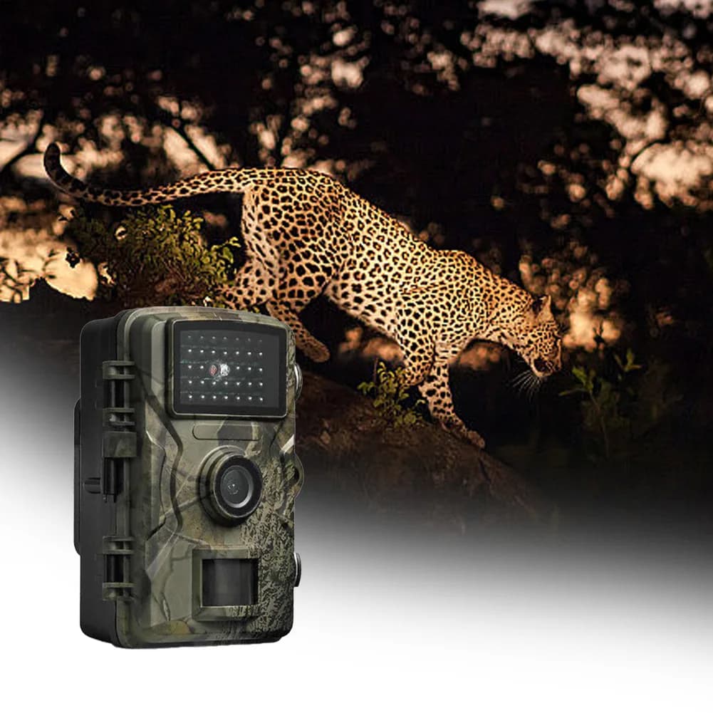 Caméra de chasse détection mouvement vision nocturne infrarouge sécurité observation animaux faune