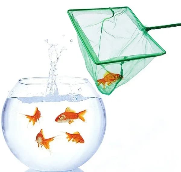 Épuisette aquarium carrée à long manche - Filet pour poissons, objets flottants et séchage cannes à pêche