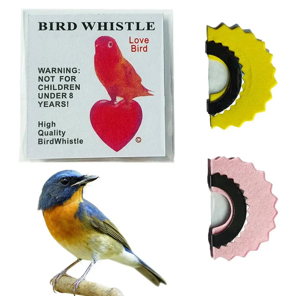 Sifflet magique caché dans la bouche pour imiter les oiseaux - Jouet astucieux pour pêcheur et ornithologue