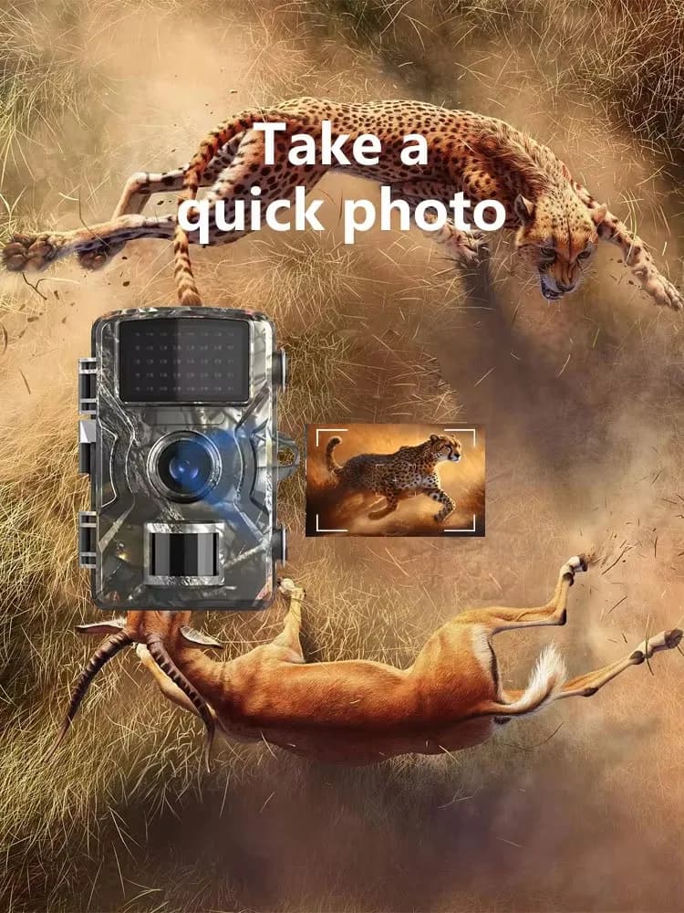 Caméra trail 1080P détecteur d'animaux sauvages étanche avec déclenchement automatique pour pièges photos extérieurs