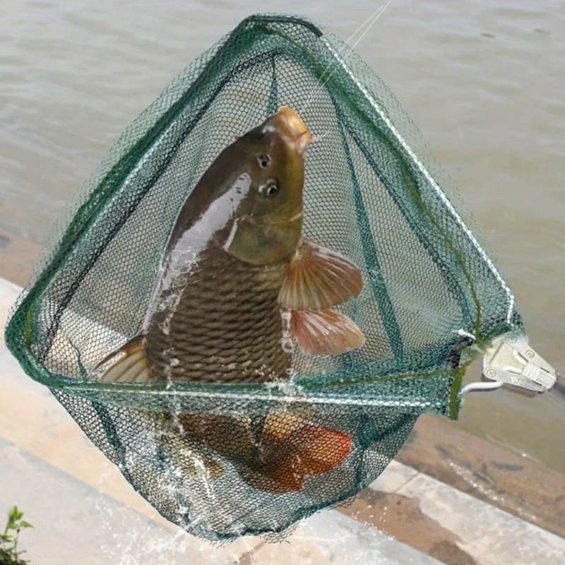 Épuisette de pêche ultra-légère pliable avec manche télescopique en alliage d'aluminium
