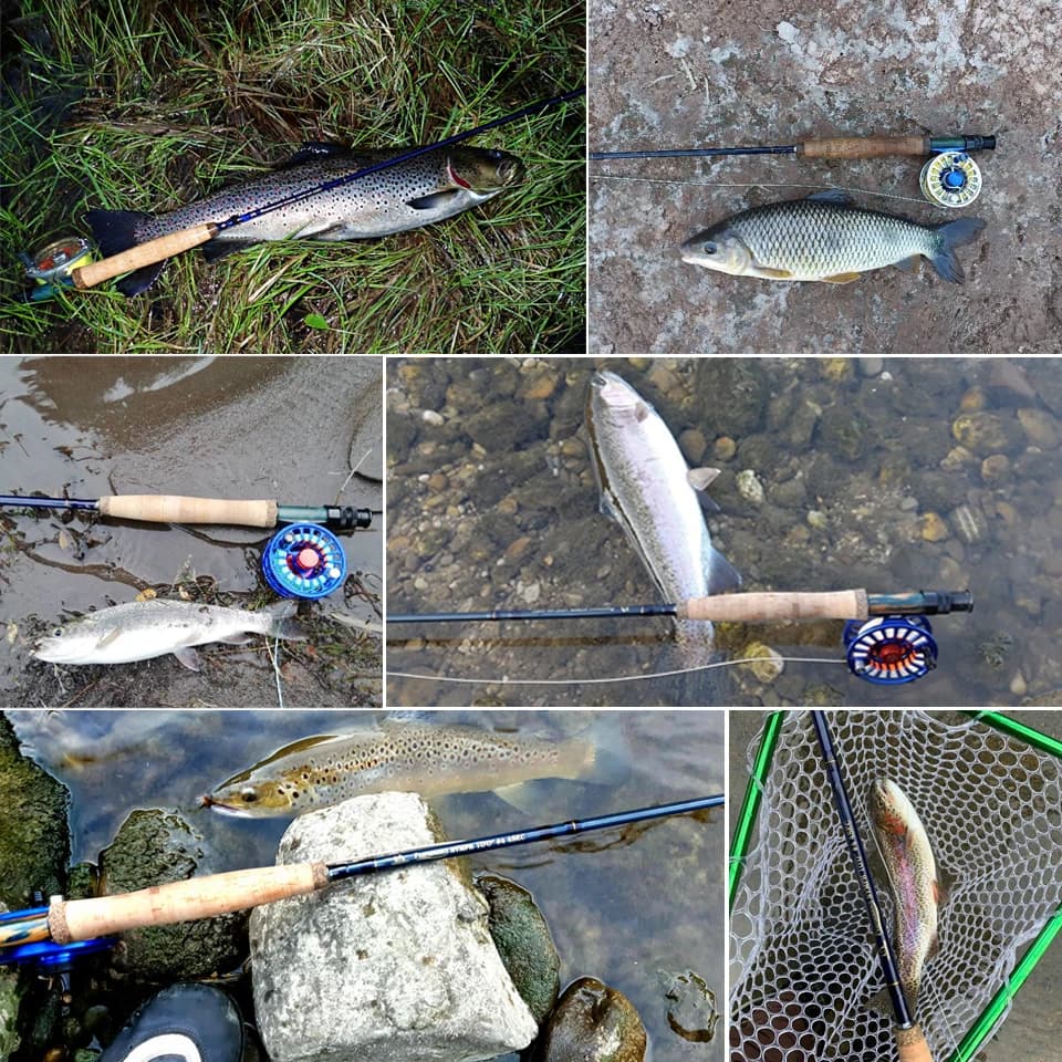 Canne à pêche à la nymphe Maximumcatch 2/3/4WT IM10 carbone 10/11FT action modérée rapide pour truite
