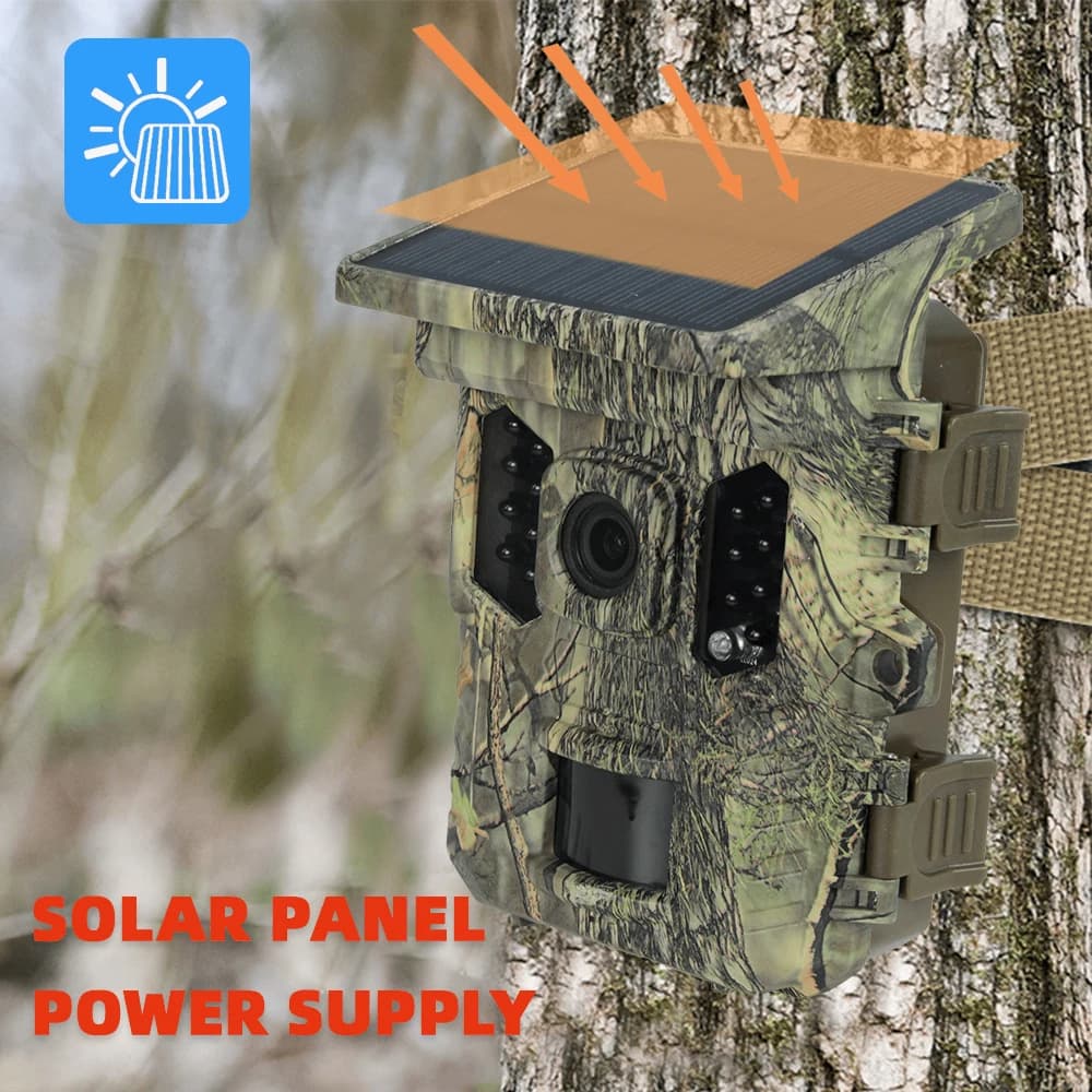 Caméra faune solaire 4K 1080P vision nocturne étanche Bluetooth WiFi app pour chasse connectée 16MP