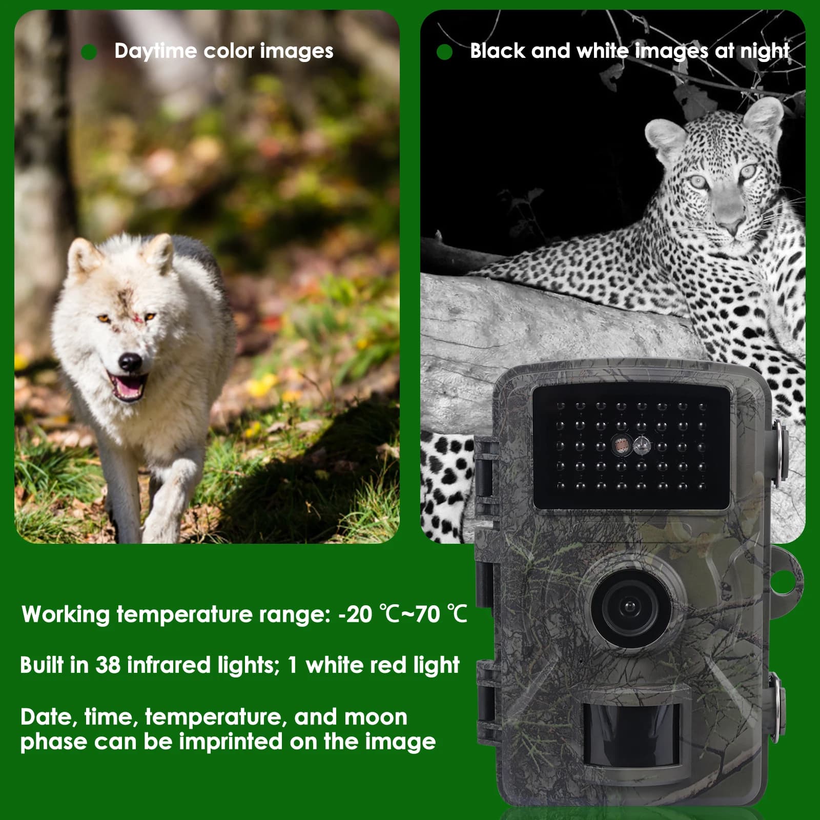 Caméra trail capteur infrarouge IP66 étanche 90 degrés avec vision nocturne pour surveillance faune extérieure