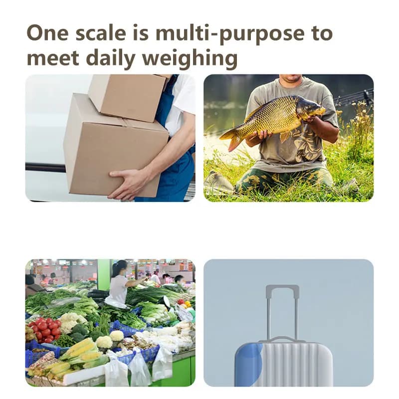 Pèse-bagages électronique digital portable 40kg crochet pêche valise balance multifonction mini dynamomètre