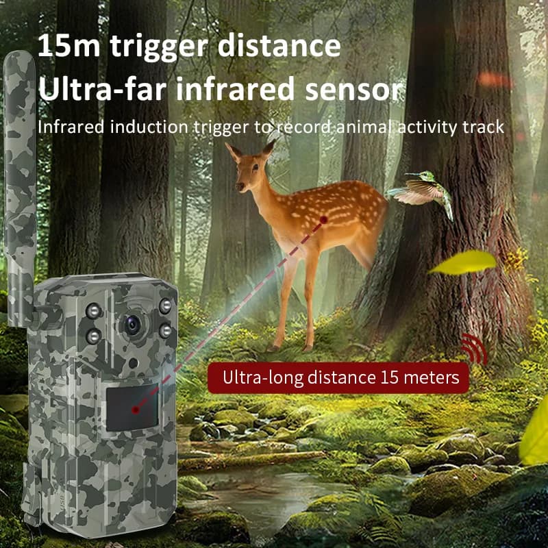 Caméra solaire 14MP 4G SIM étanche IP66 détection PIR 20m pour surveillance faune pêche