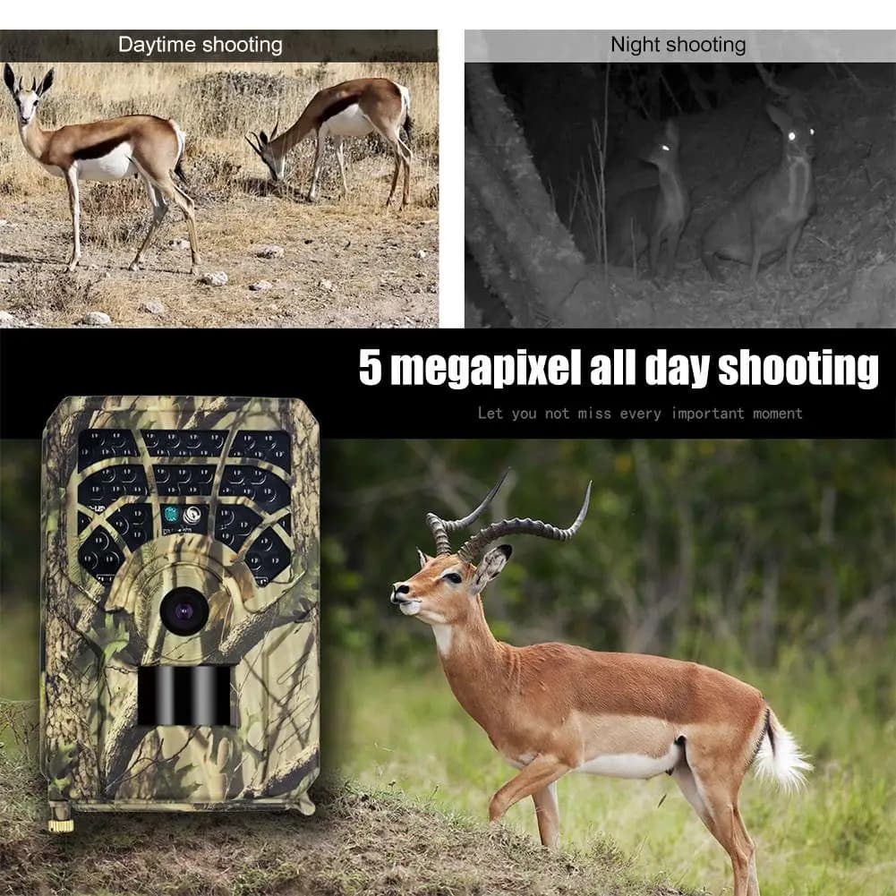 Caméra de chasse infrarouge Outdoor 5MP détecteur d'animaux sauvages HD pour surveillance nocturne