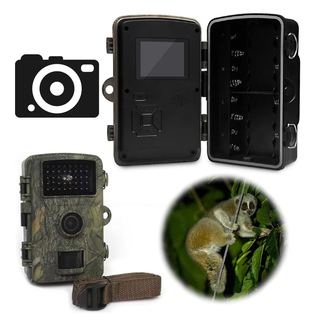 Caméra de chasse étanche à détection de mouvement avec vision nocturne infrarouge pour reconnaissance et traque