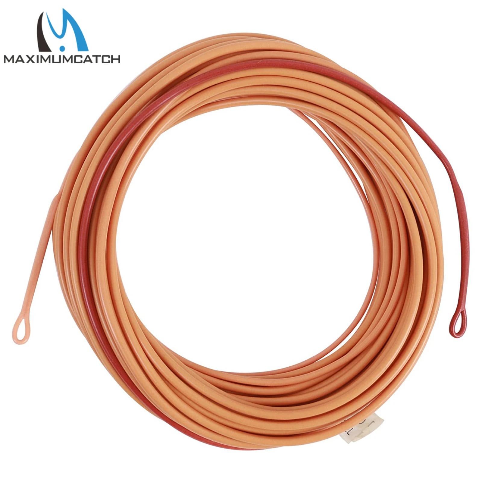 Ligne de pêche à la mouche Skagit flottante double couleur 17-29m 200-650gr avec pointes amovibles