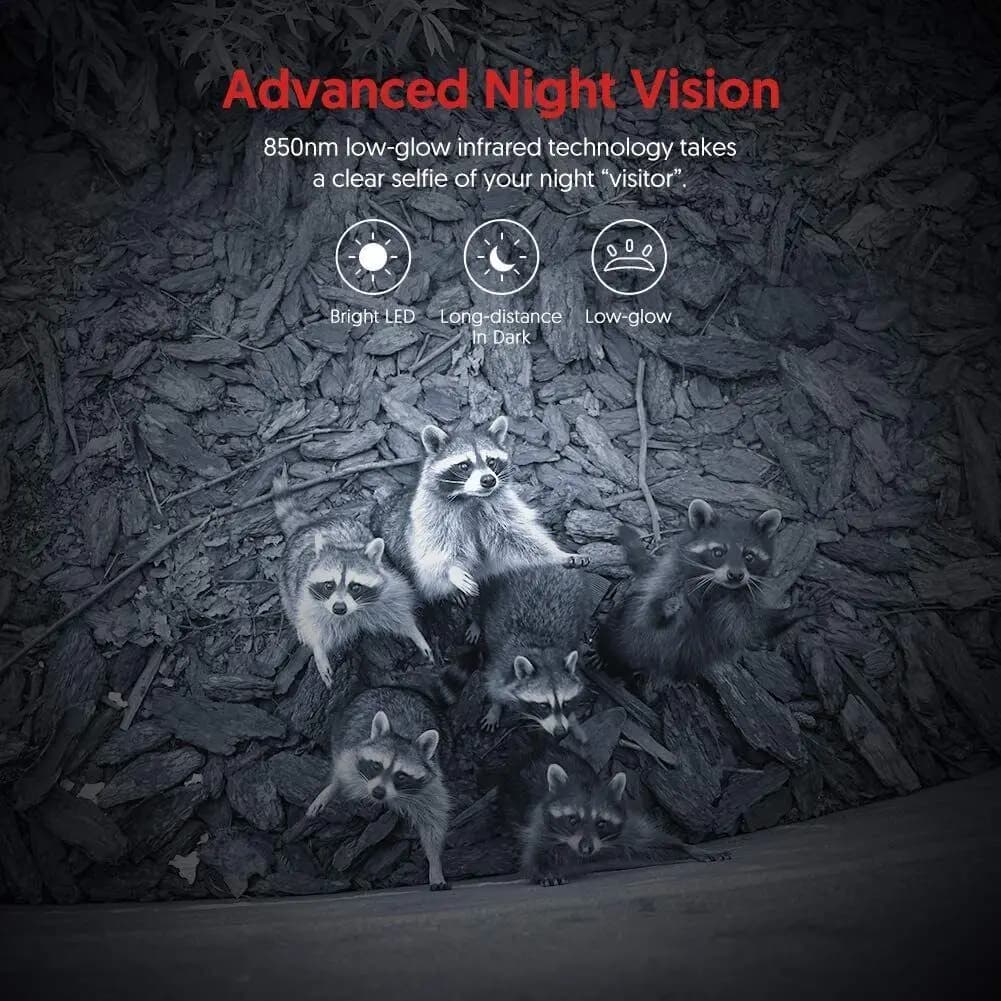 Mini caméra trail chasse vision nocturne 20MP 1080P étanche piège photo surveillance tracking accessoires