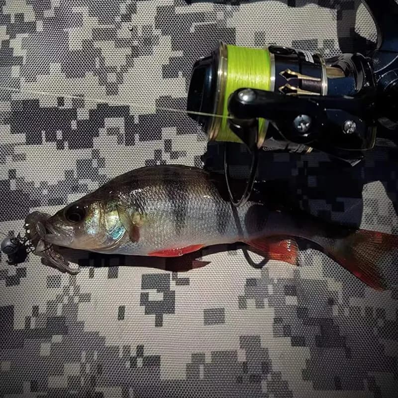 LEYDUN Micro Hot Ligne Pêche 8 Brins PE 300m Japon Lisse Multifilament - Outil Pêche Mer Carpe