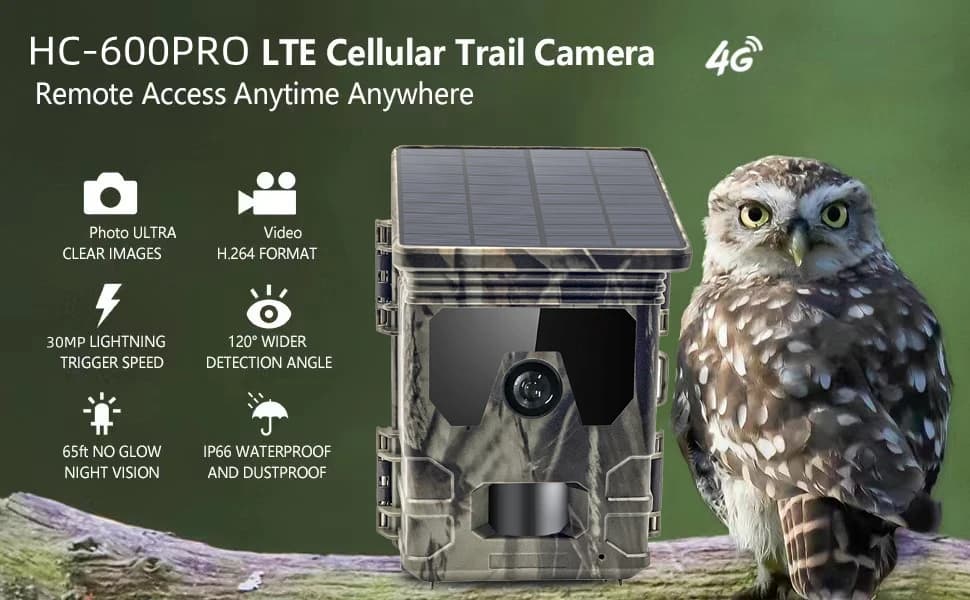 Caméra de chasse solaire 4G 2K 30MP - Détection 120° et enregistrement wildlife avec vision nocturne