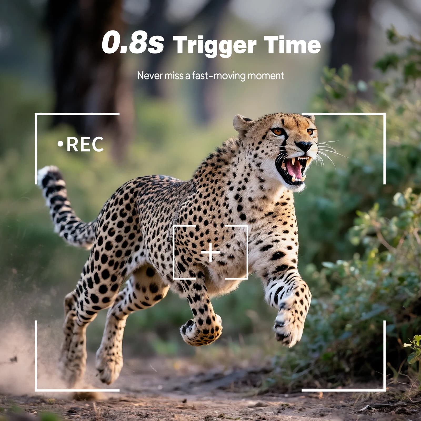 Caméra de chasse HD infrarouge 2.4 pouces vidéo trail vision nocturne détection mouvement surveillance