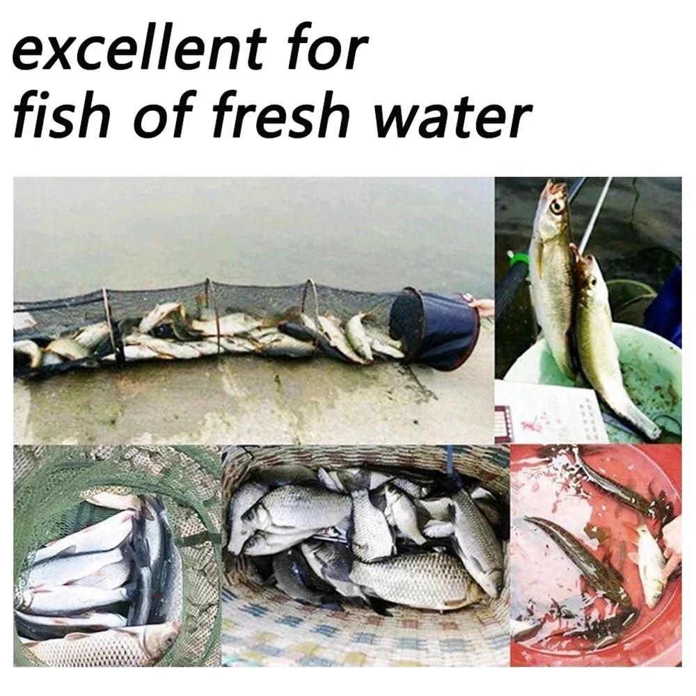 Appât gelé 100 à 500 pièces pour carpe - nourriture granulaire attractif élastique nutrition poisson appât mou