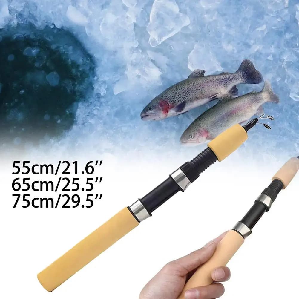 Canne pêche glace télescopique 55-75cm carbone - Portable 2 pièces solide pour pêche hiver mini