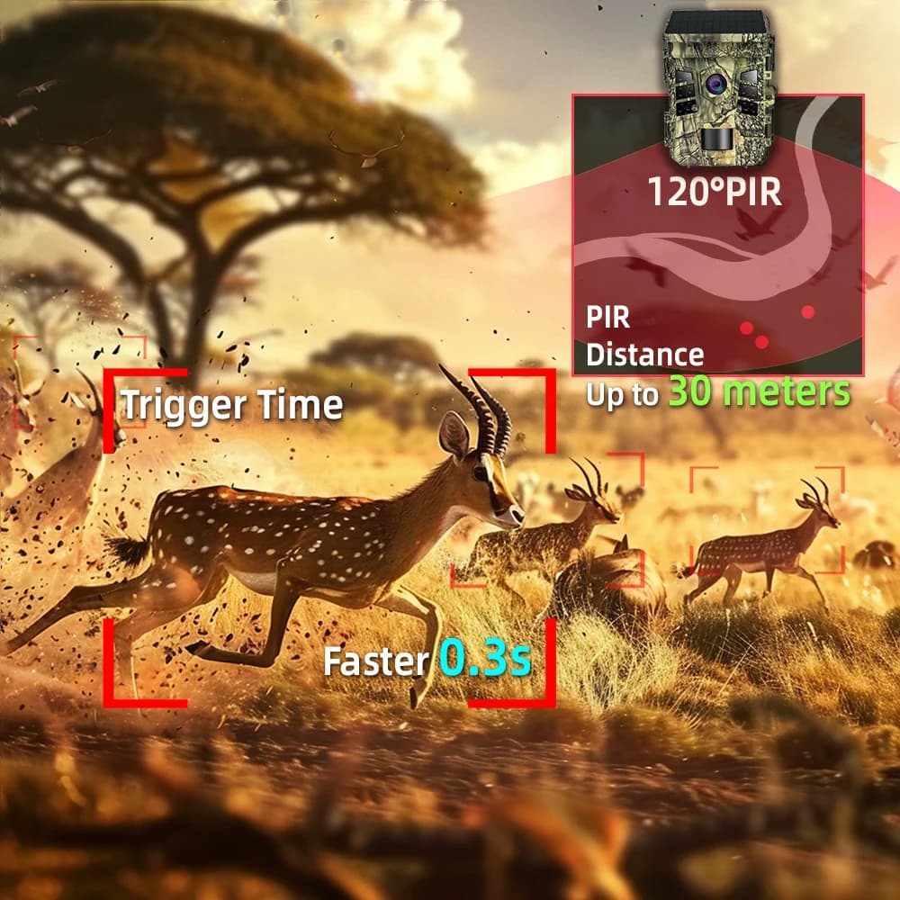 Caméra trail solaire 4K 1080P vision nocturne étanche WiFi Bluetooth APP détection mouvement