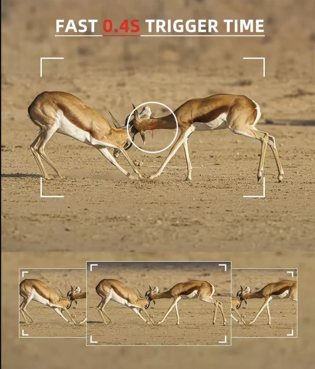 Caméra trail solaire 50MP 4K vidéo 0.4s - Surveillance jardin et faune avec vision nocturne étanche