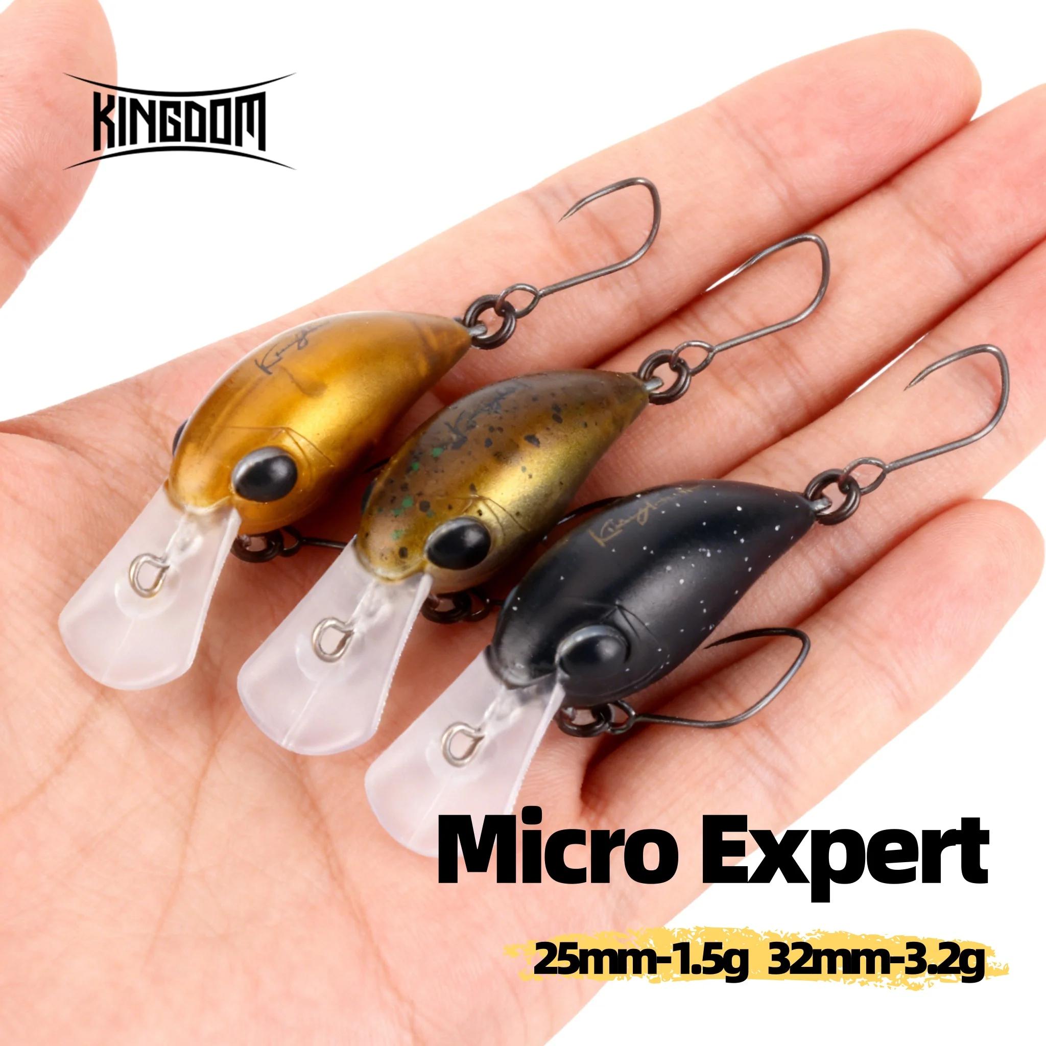 Leurre dur flottant Kingdom Small Crank Minnow 1.5g et 3.2g pour la pêche de la truite