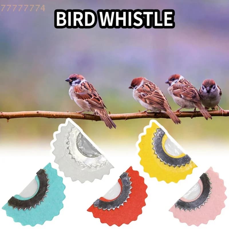 Sifflet magique 1 oiseau original - Jouet gazouillis pour divertissement et amusement