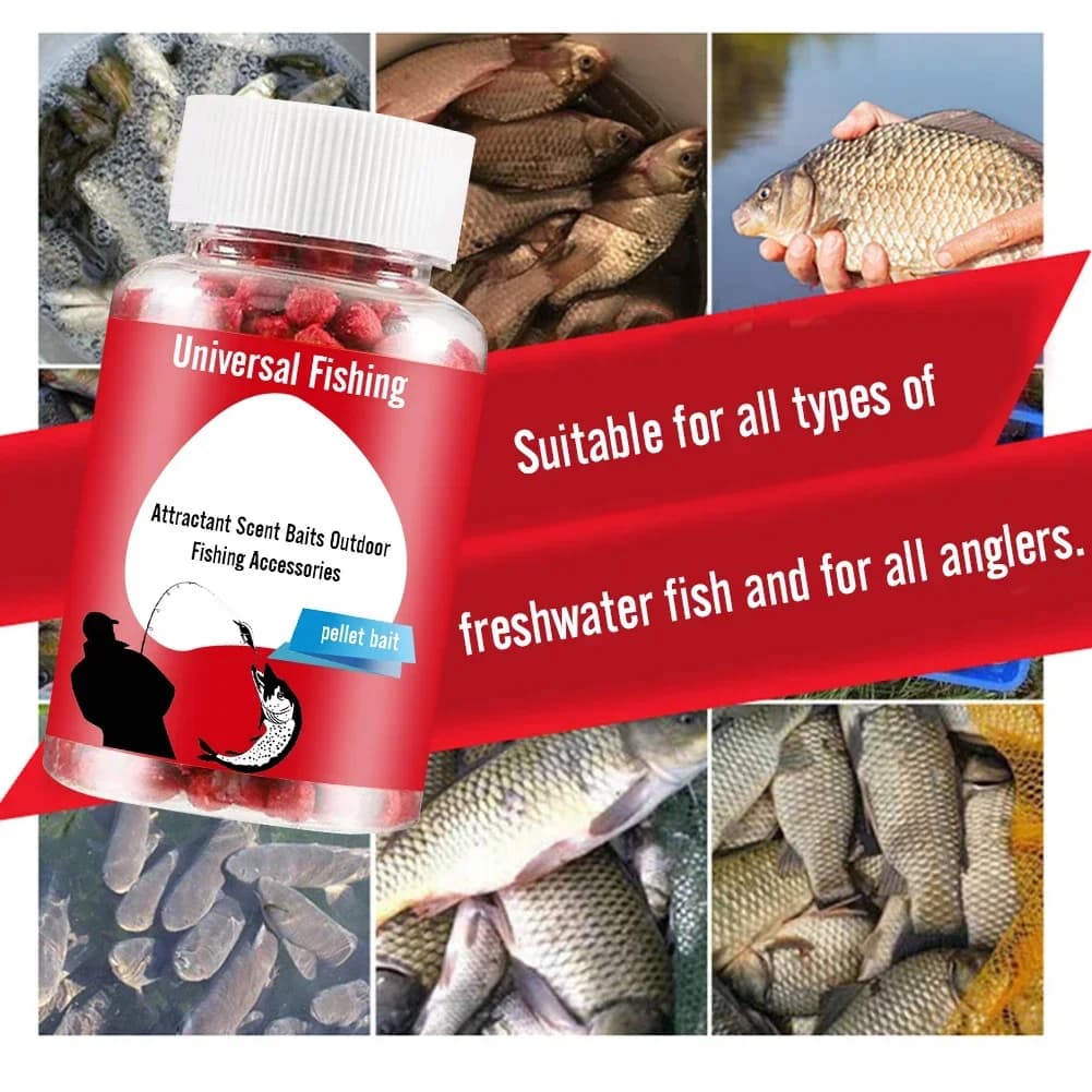 Appât granulé humide concentré protéiné pour pêche - attractant universel odeur poisson