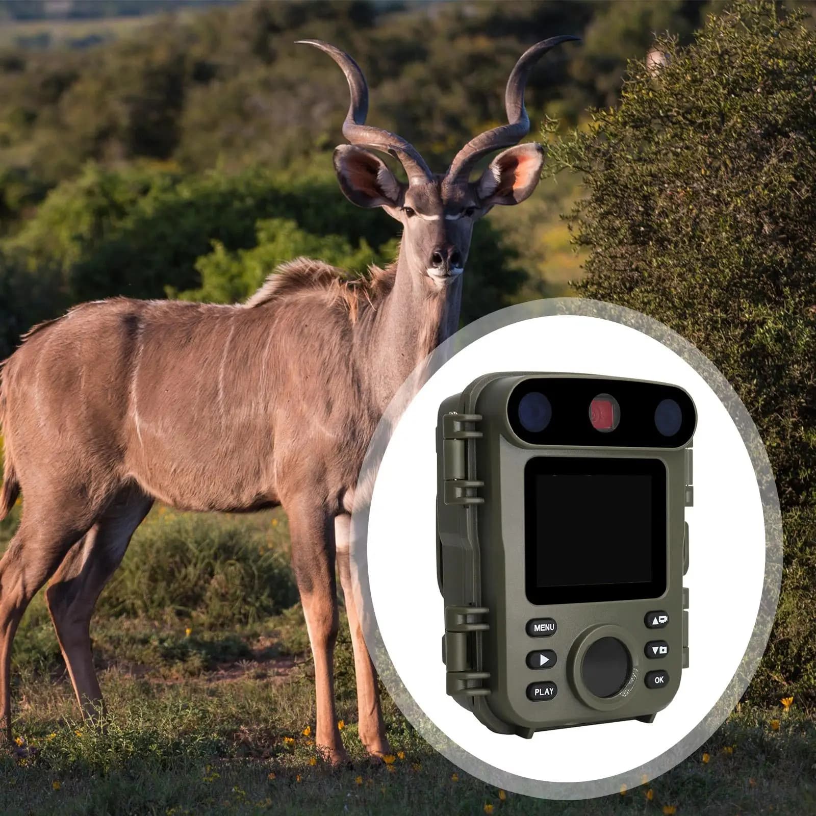 Caméra de piste infrarouge extérieure IP66 étanche pour suivi activité animale et monitoring camping
