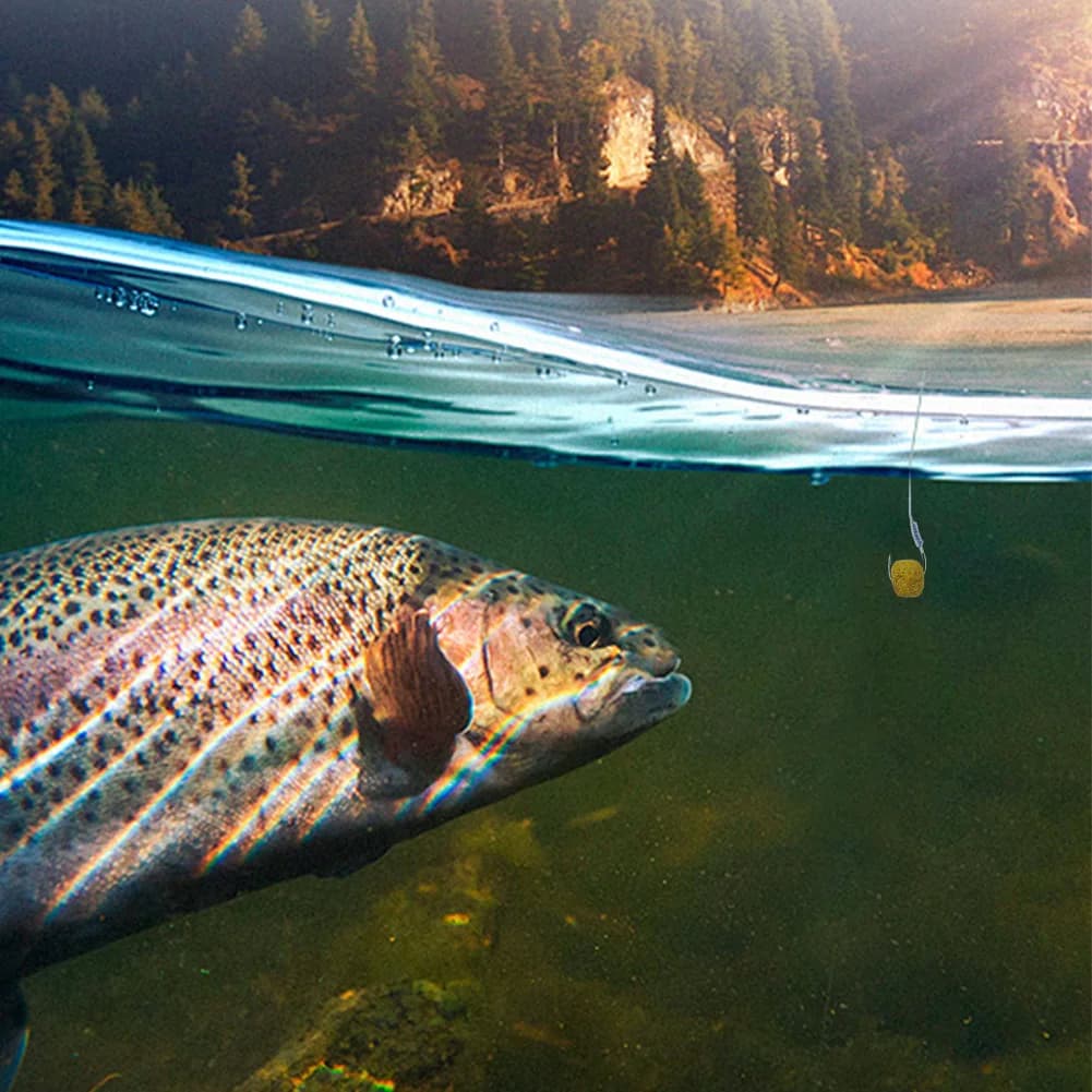 Appâts pellets carp fishing 1/2 pack - Attractant universel facile à utiliser pour carpes herbivores