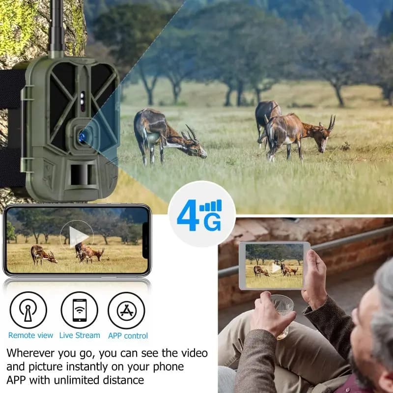Caméra wildlife 4G 4K 36MP waterproof IP66 - Vision nocturne IR invisible et détection 120°