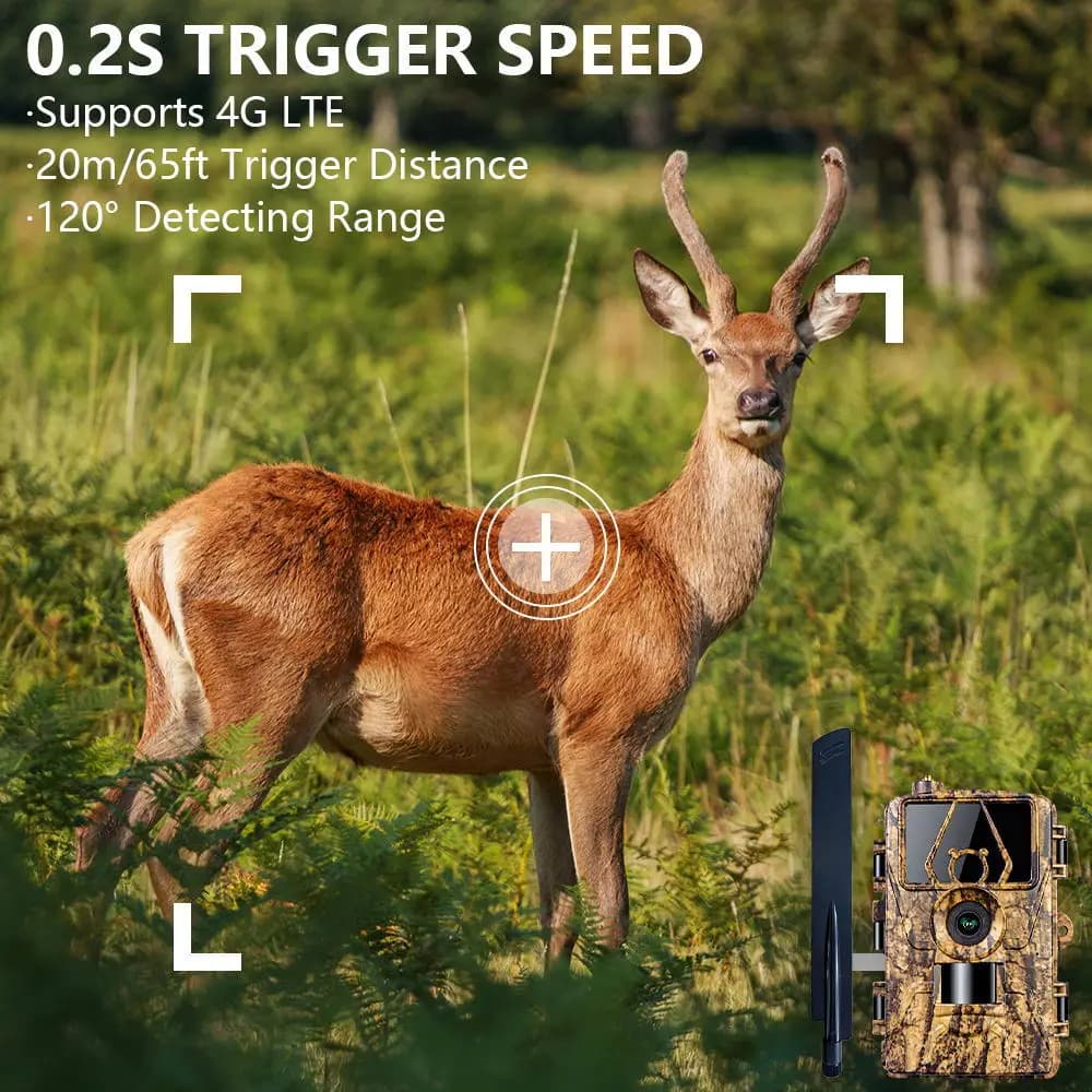Caméra chasse 8K sensor 60MP infrarouge WiFi APP - Étanche vision faune avec 32GB mémoire