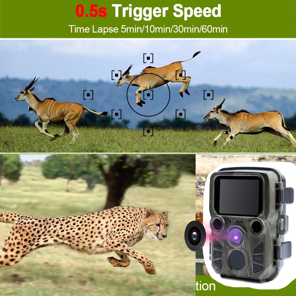 Mini caméra de jeu trail 1080P 12MP étanche avec LED IR portée 20m pour pièges photos extérieurs
