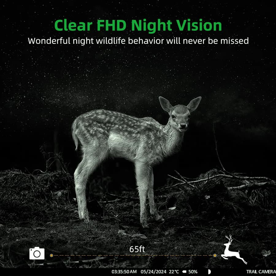 Caméra cellulaire 4G LTE 2.7K HD - Contrôle APP détection mouvement étanche faune chasse avec carte SIM