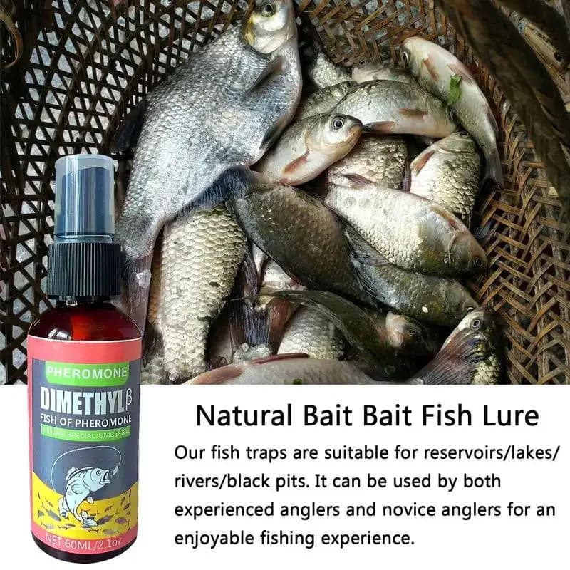 Spray attractant phéromones poissons - Appât liquide carpe crucian hareng pêche rivière sauvage