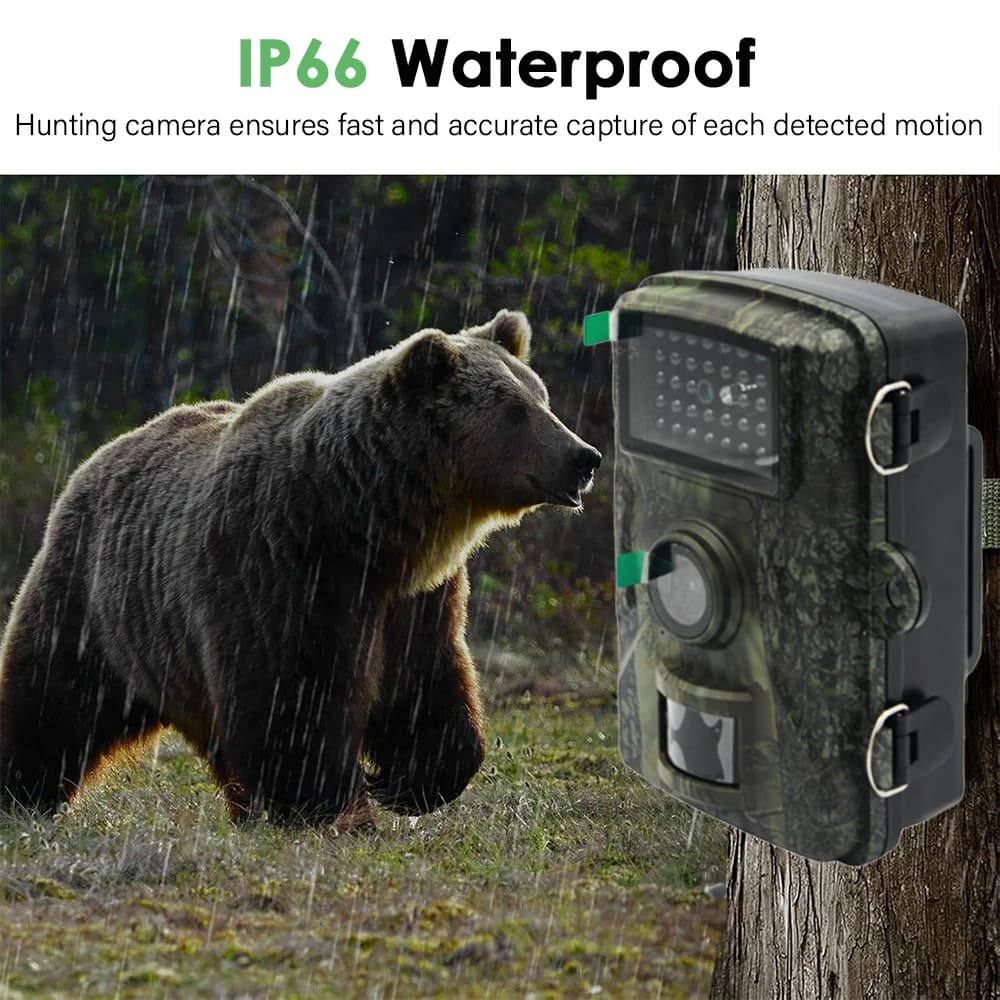 Caméra multifonction 24MP vidéo photo IP66 étanche - Observation animale chasse + carte 32GB incluse