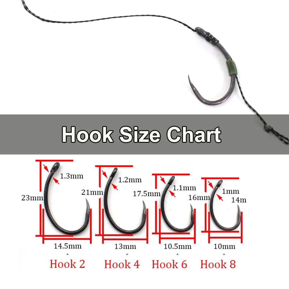 6 montages prêts à pêcher pour carpe - bas de ligne et terminal tackle accessoires pêche