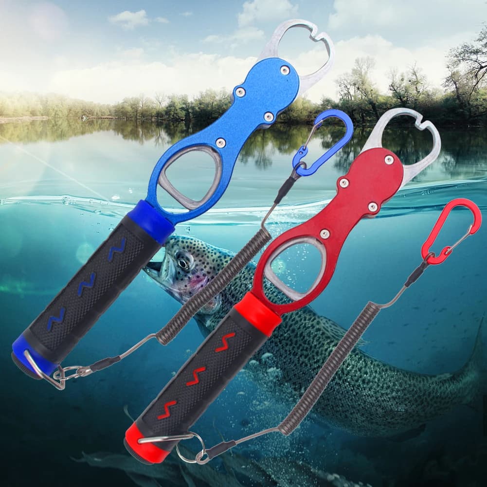 Pince à lèvres pour poisson avec balance intégrée - Outil professionnel de pesée et maintien pour pêcheurs