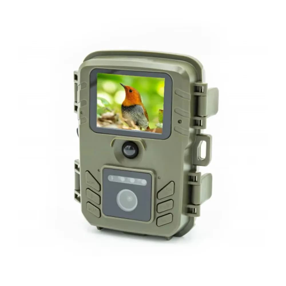 Mangeoire oiseaux avec caméra WIFI - Observation ornithologique transfert photos vidéos détection mouvement
