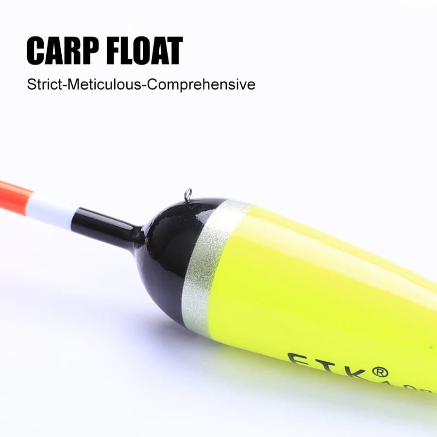 Flotteurs Bargouzine en sapin pour la pêche à la carpe, 5 pièces, 2g-4g, 15.5-20cm, bouchon vertical