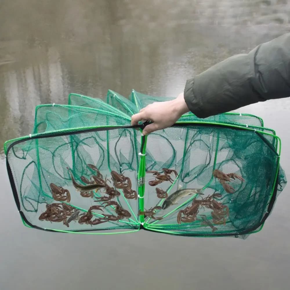 Filet de pêche pliable et durable 6 8 ou 10 trous vert pour écrevisses et crevettes