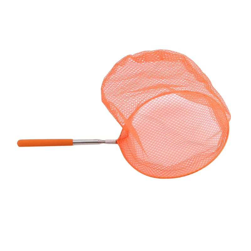 Filet de pêche rétractable portable pour enfants, idéal pour attraper insectes, papillons et libellules en extérieur